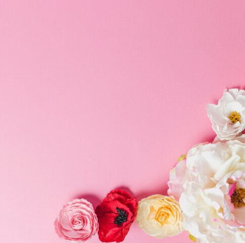 white and pink roses on pink wall